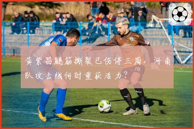 黄紫昌腿筋撕裂已伤停三周,河南队攻击线何时重获活力?