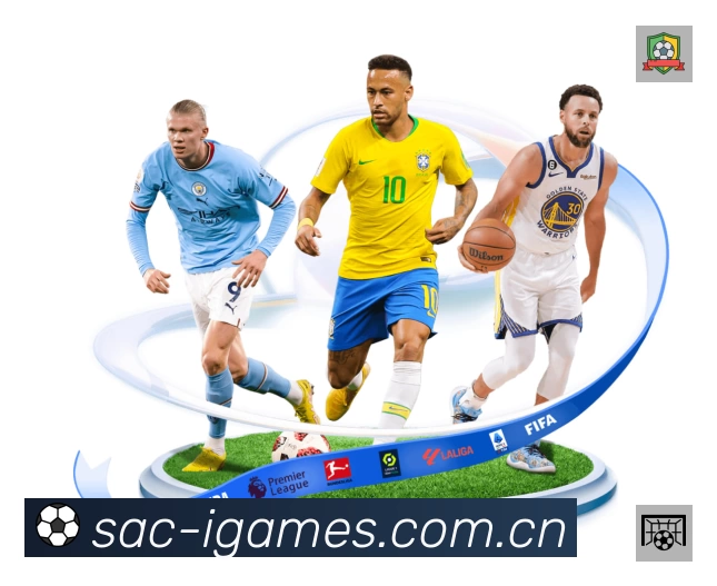 赛事回放与集锦